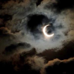 Meet your Posher, Nicolette